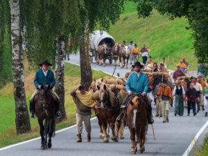 Säumerzug, salt mule festival Grafenau, Bavarian Forest, Bavaria, Germany Säumerzug, salt mule festival Grafenau, Bavarian Forest, Bavaria, Germany